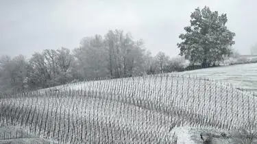 france météo